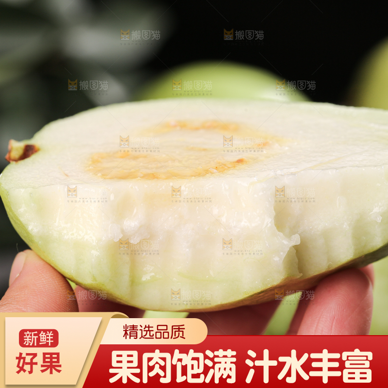 白心芭乐