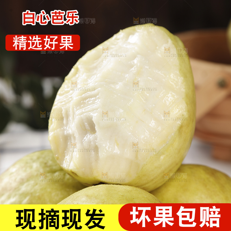 白心芭乐