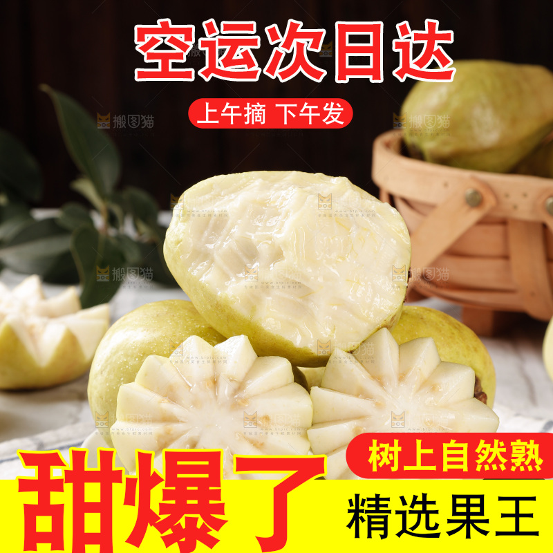 白心芭乐