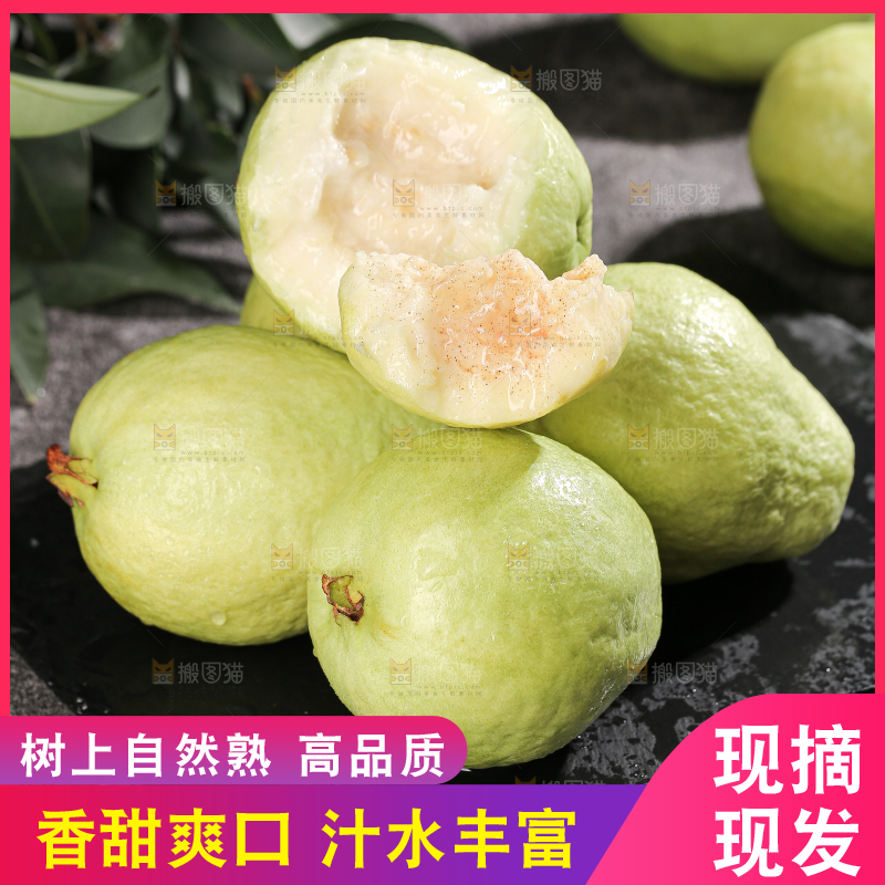 白心芭乐