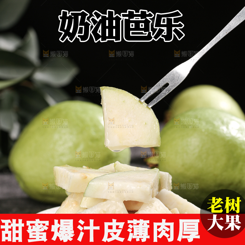 白心芭乐