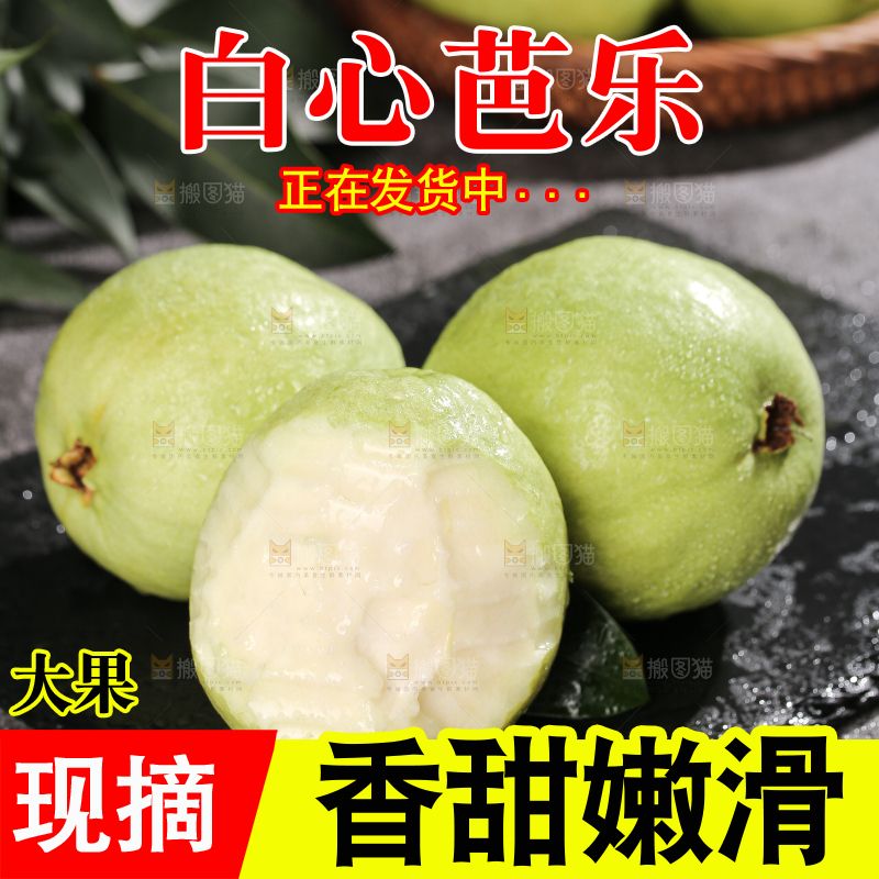 白心芭乐