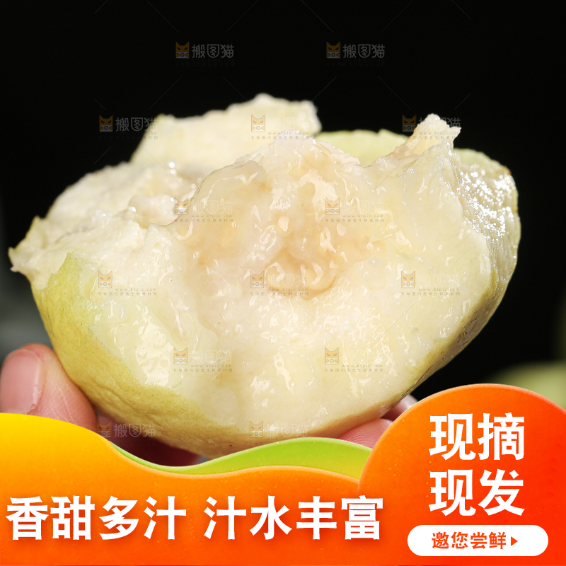 白心芭乐