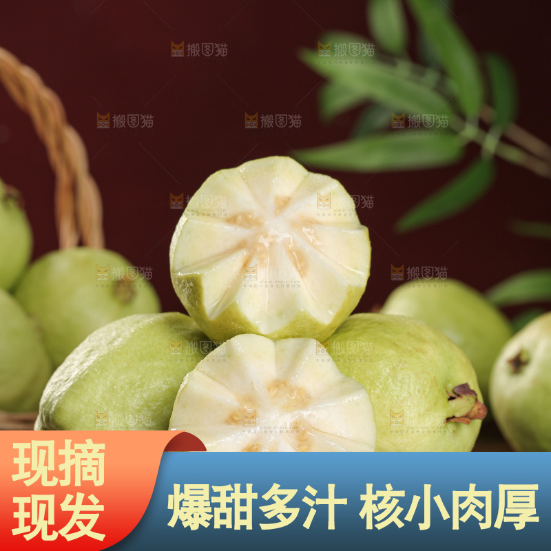 白心芭乐