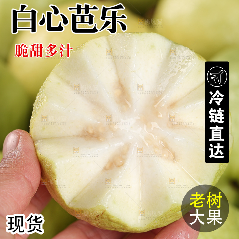 白心芭乐
