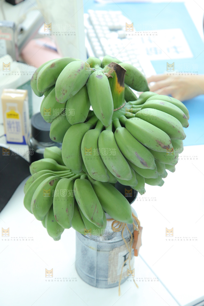 水培香蕉