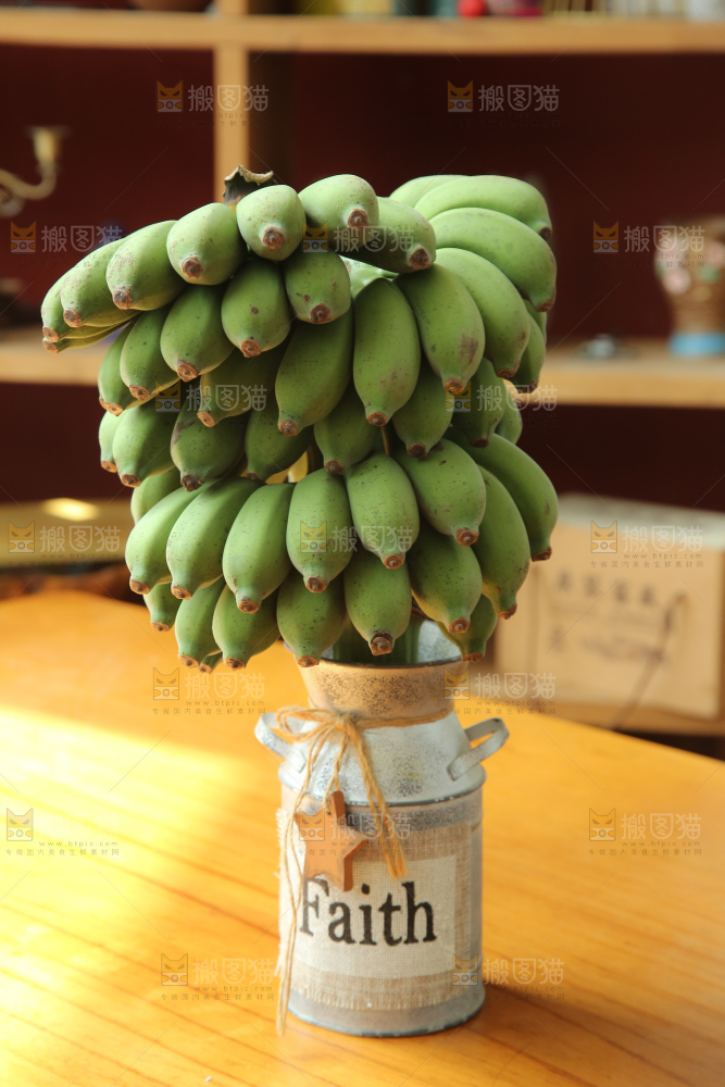 水培香蕉
