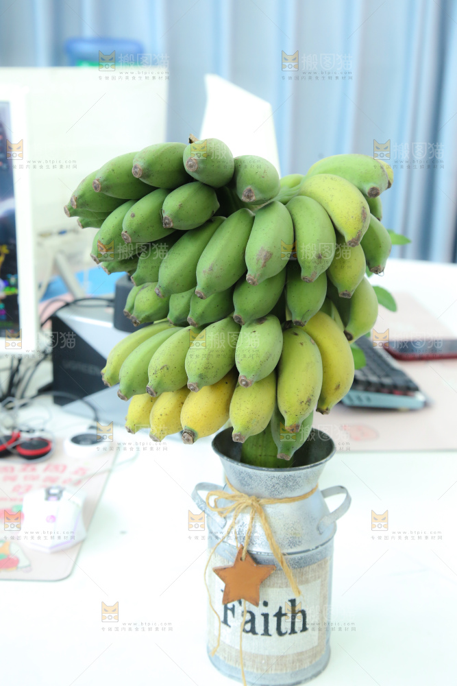 水培香蕉