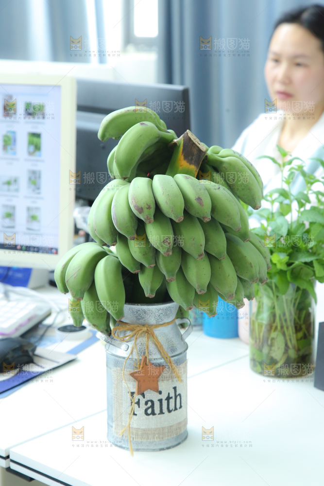 水培香蕉