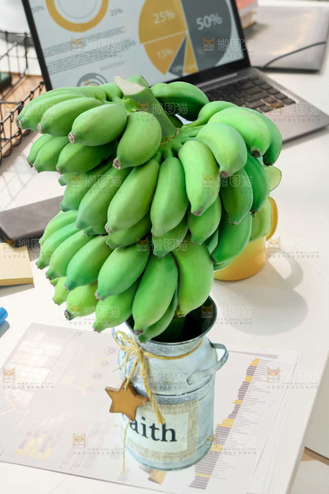 水培香蕉
