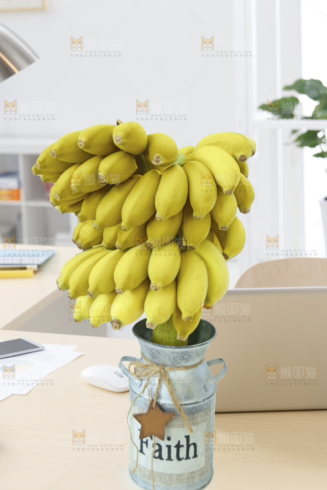 水培香蕉