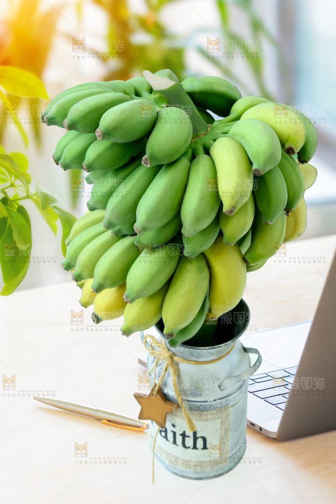 水培香蕉