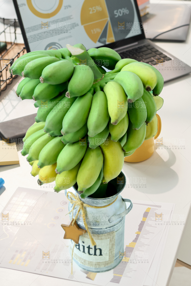 水培香蕉