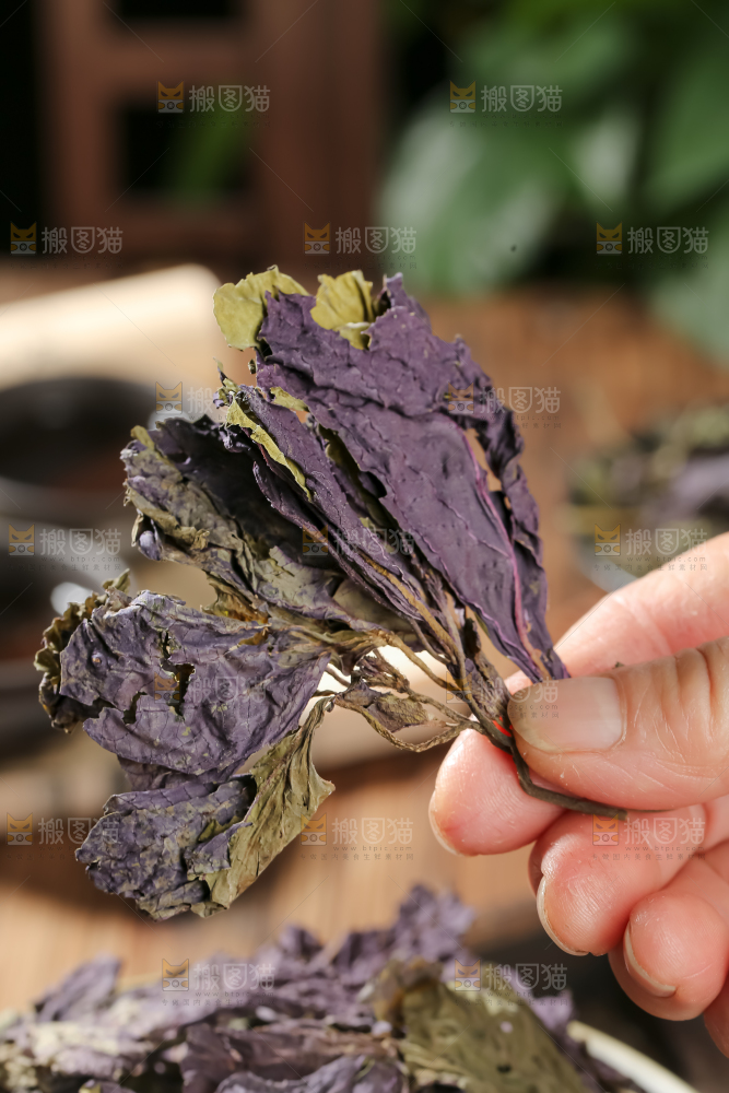 干紫苏