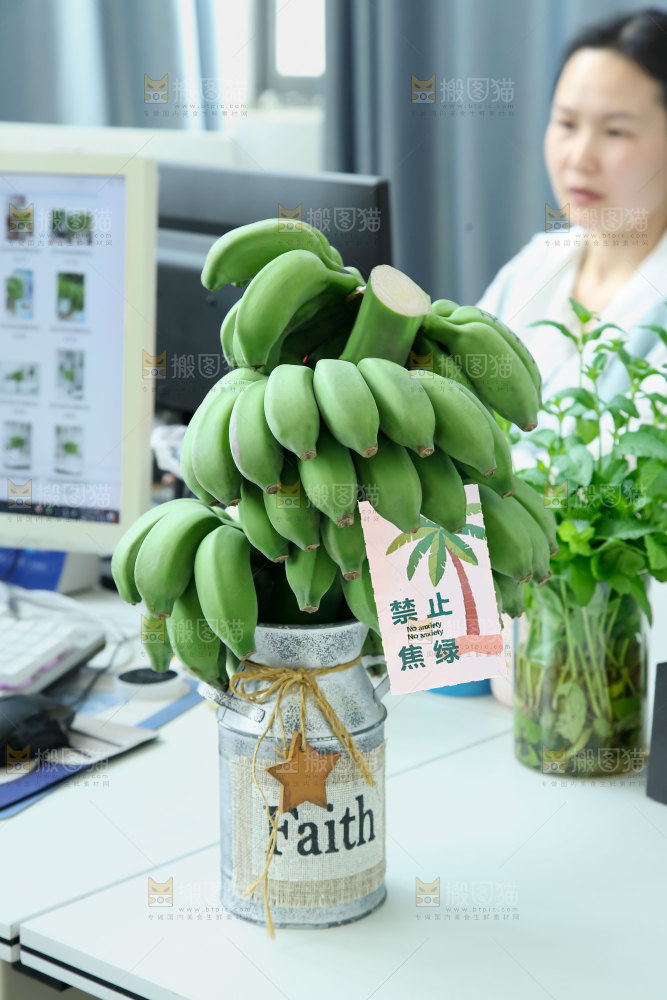 水培香蕉