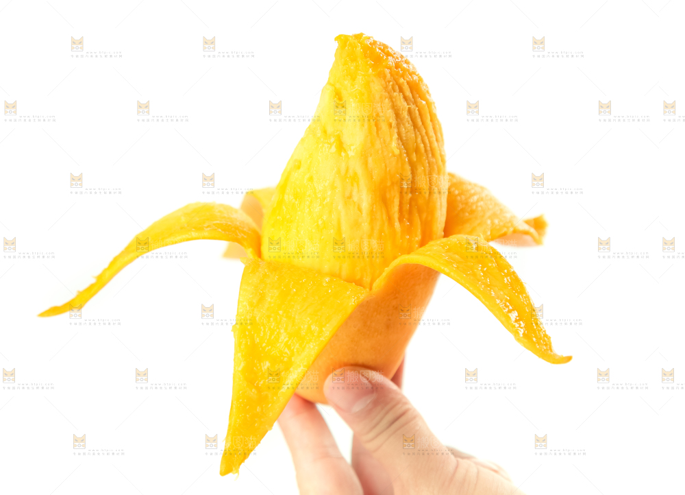 鹰嘴芒