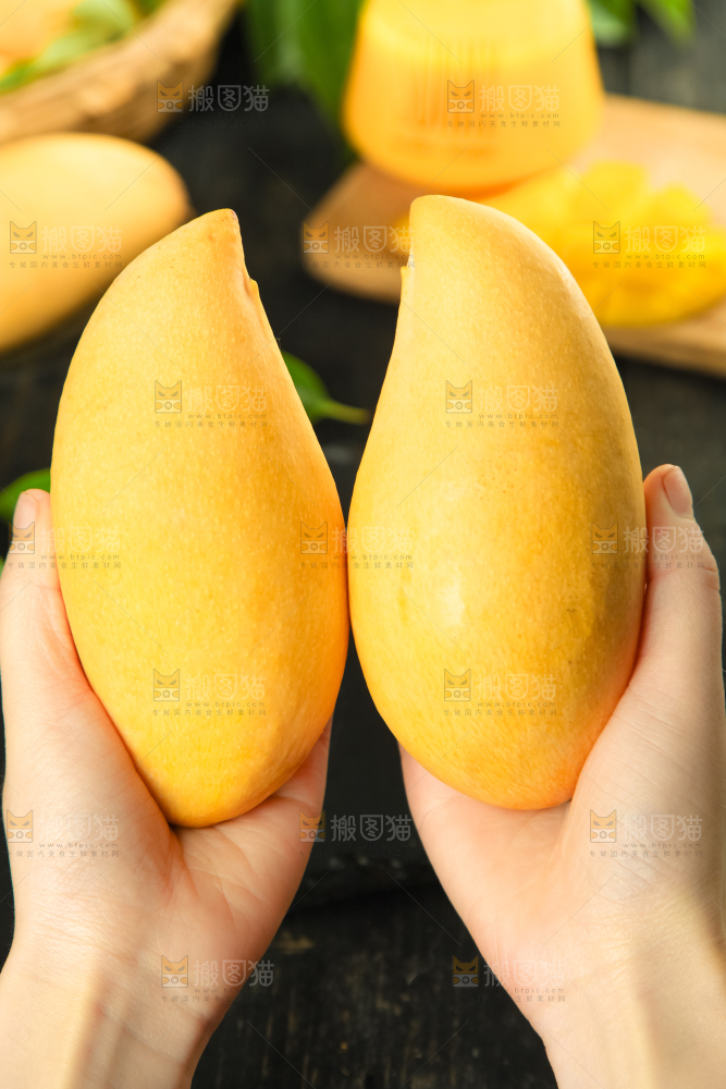 鹰嘴芒
