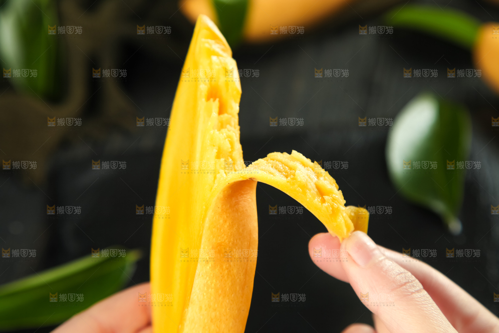 鹰嘴芒