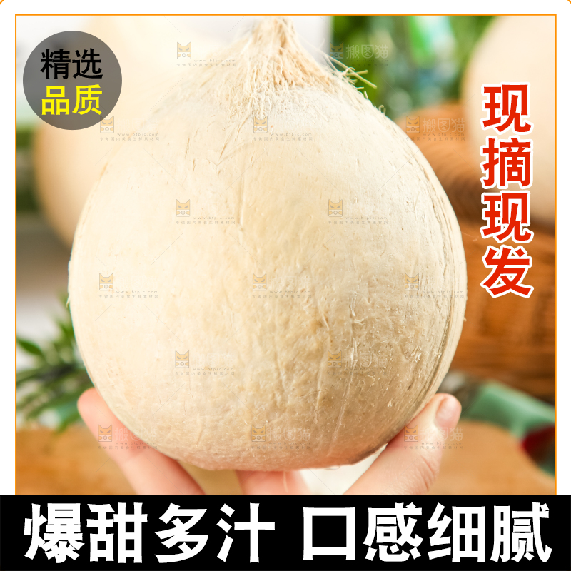 牛奶椰皇