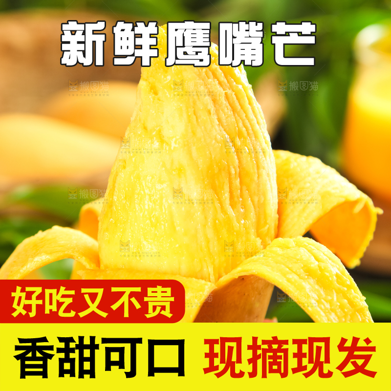 鹰嘴芒