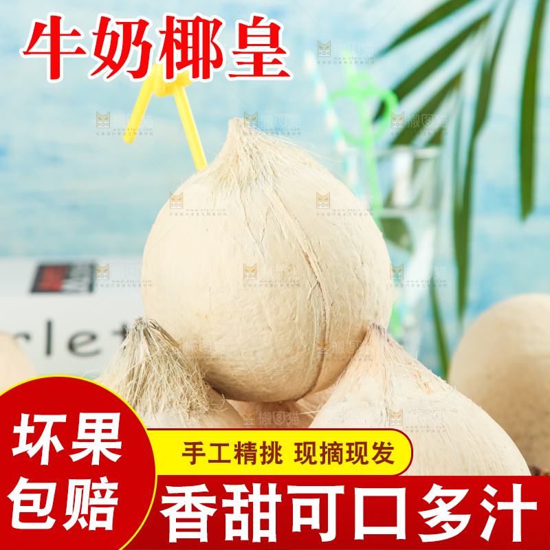 牛奶椰皇