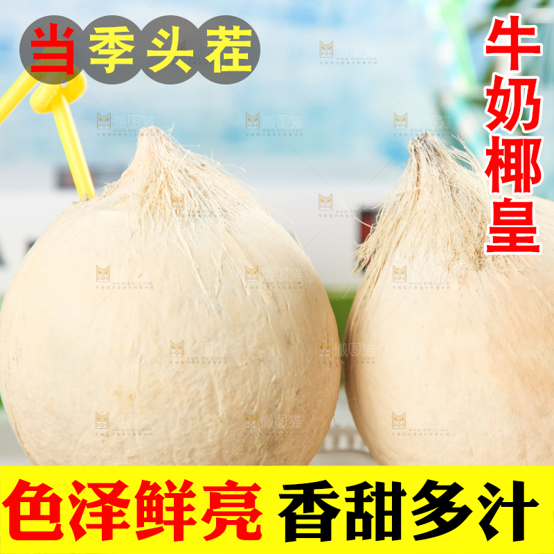 牛奶椰皇