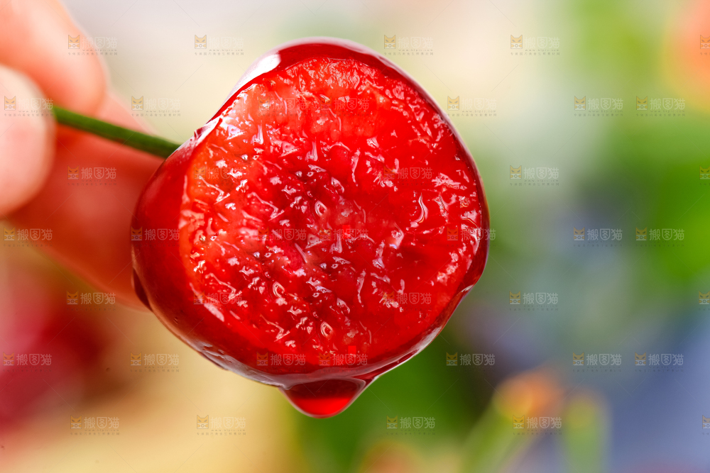 大樱桃