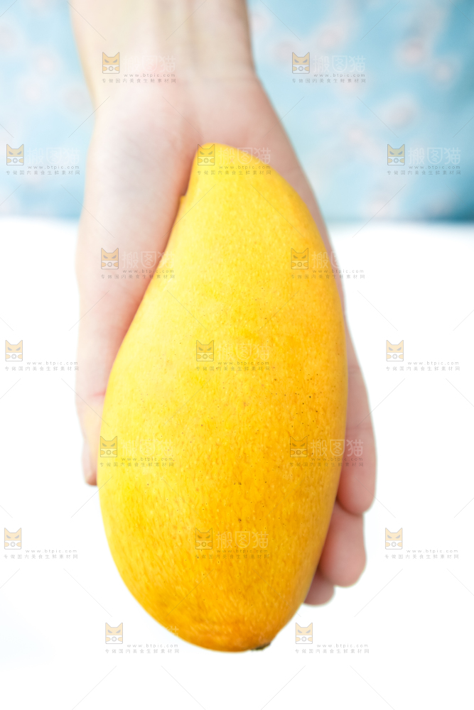 鹰嘴芒