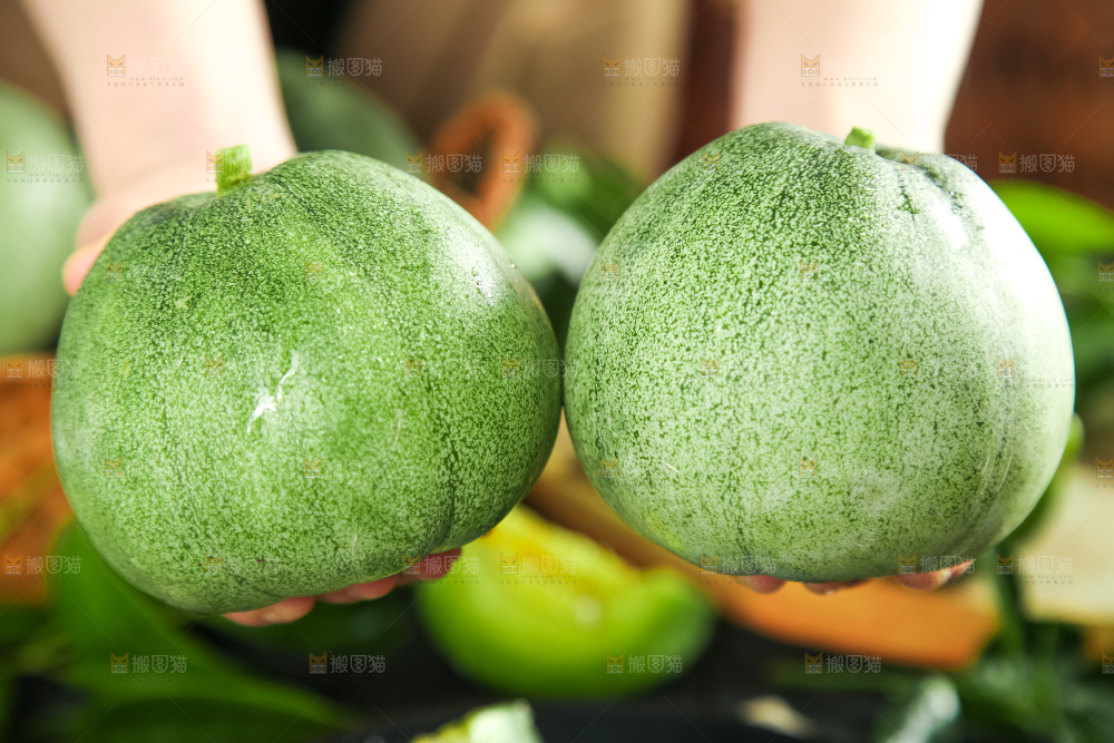 绿宝甜瓜