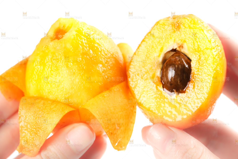 枇杷