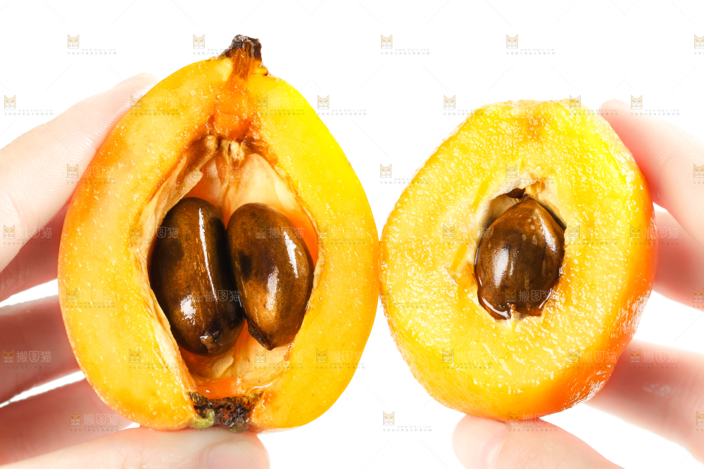 枇杷
