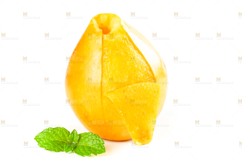 枇杷
