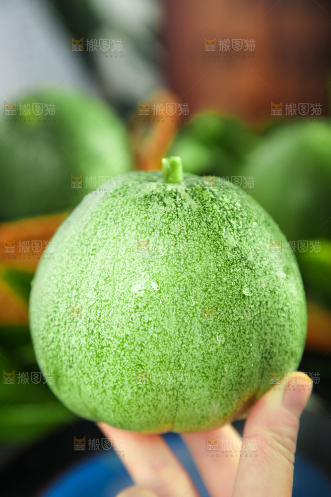 绿宝甜瓜