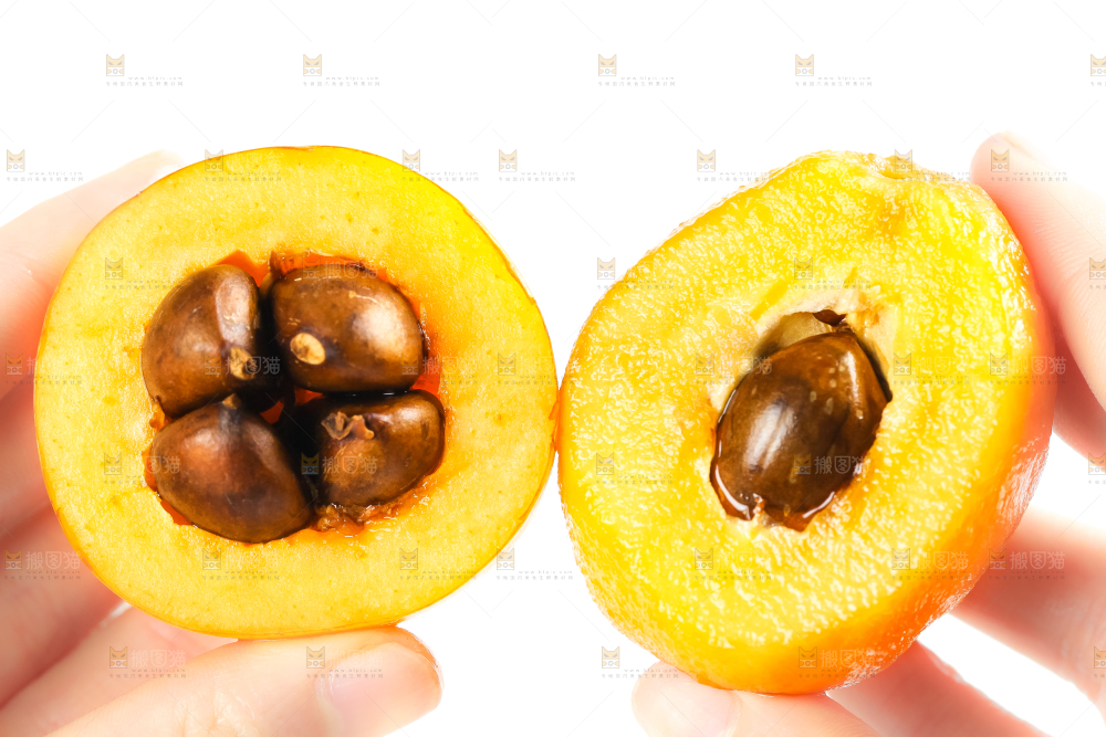 枇杷