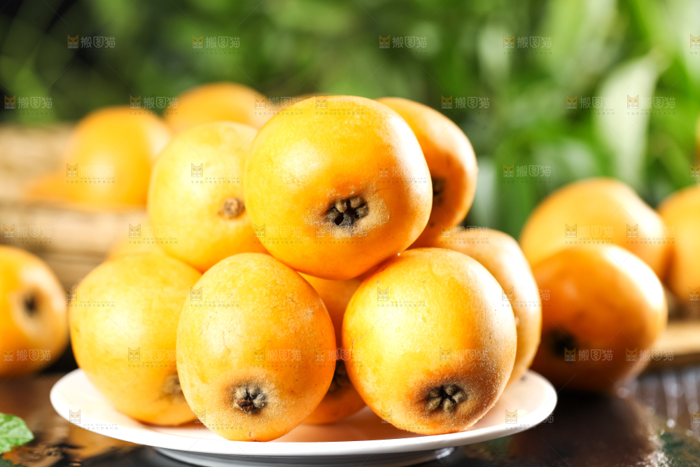 枇杷