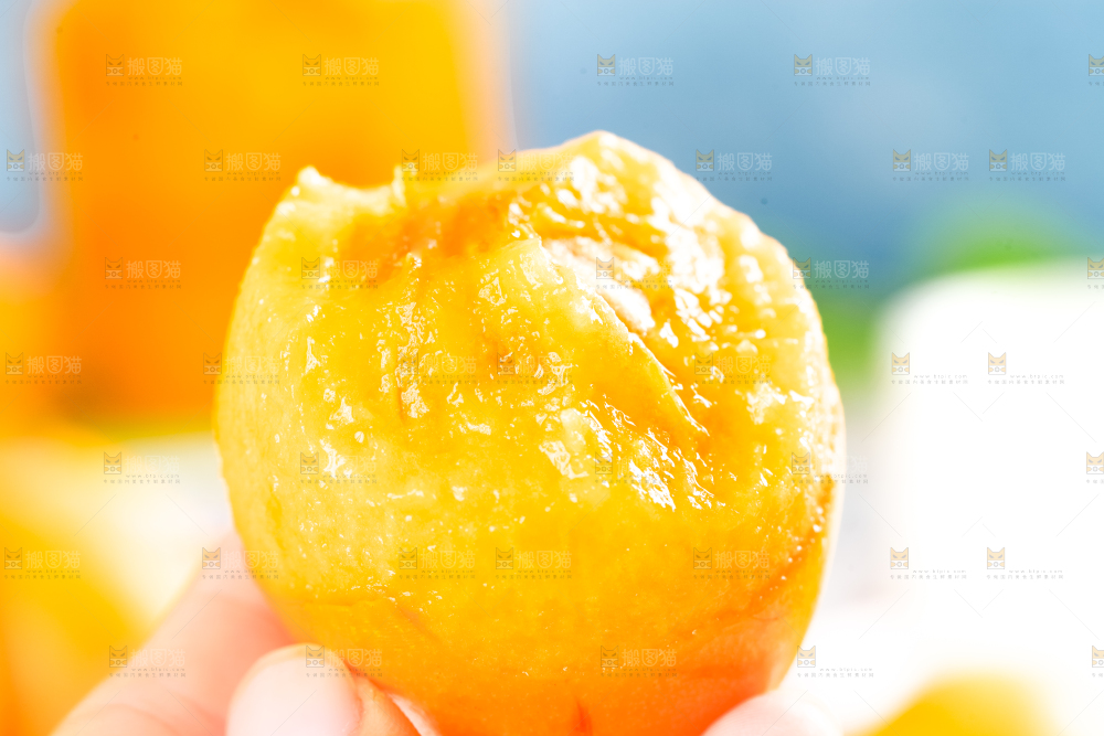 枇杷