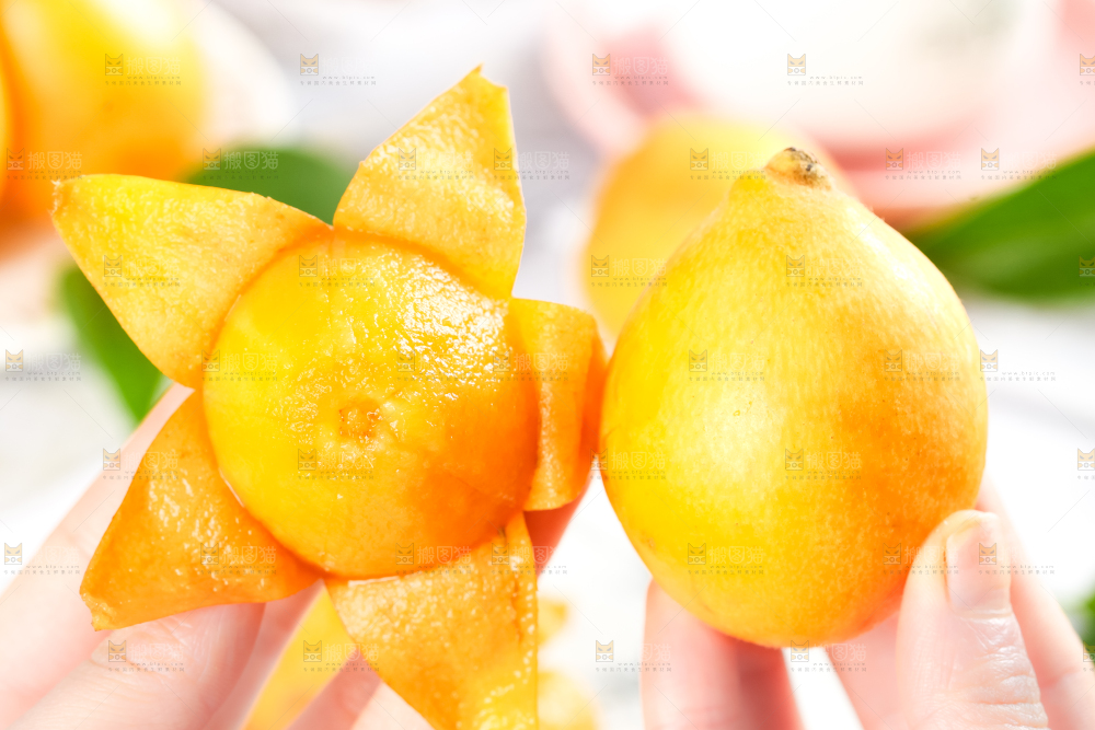枇杷
