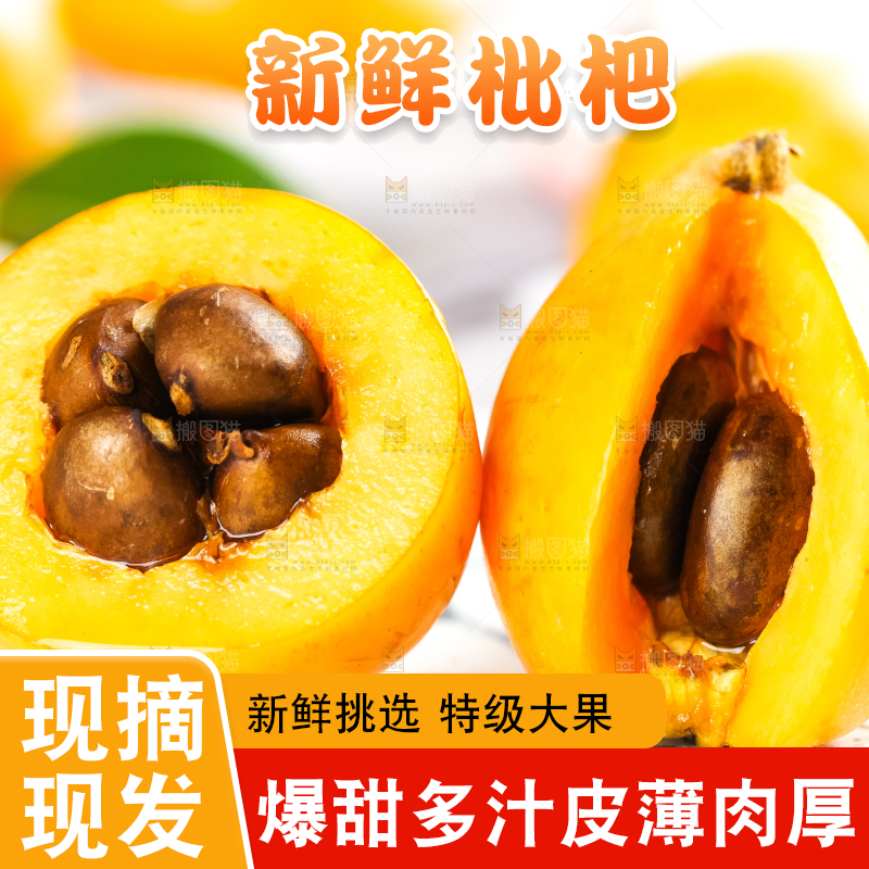 枇杷
