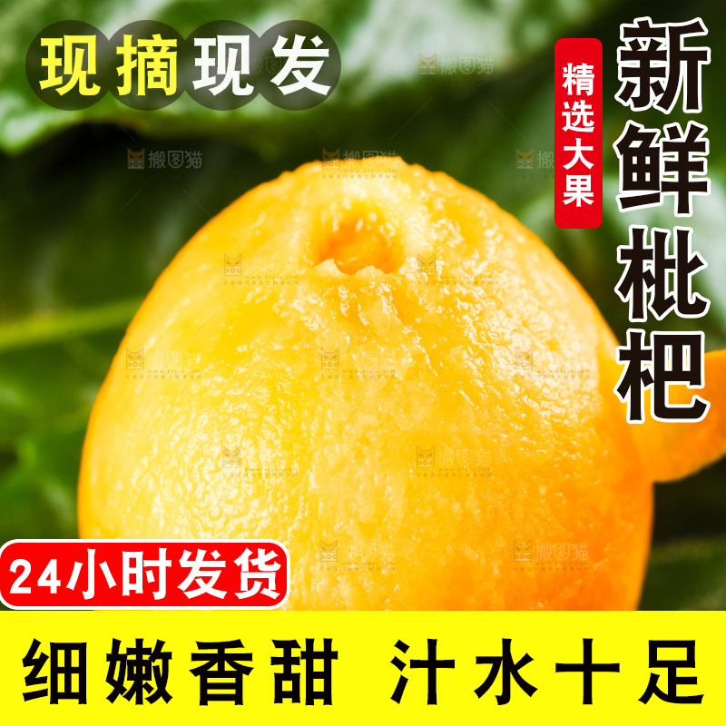 枇杷
