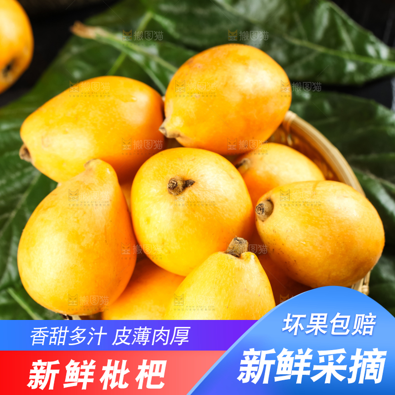 枇杷