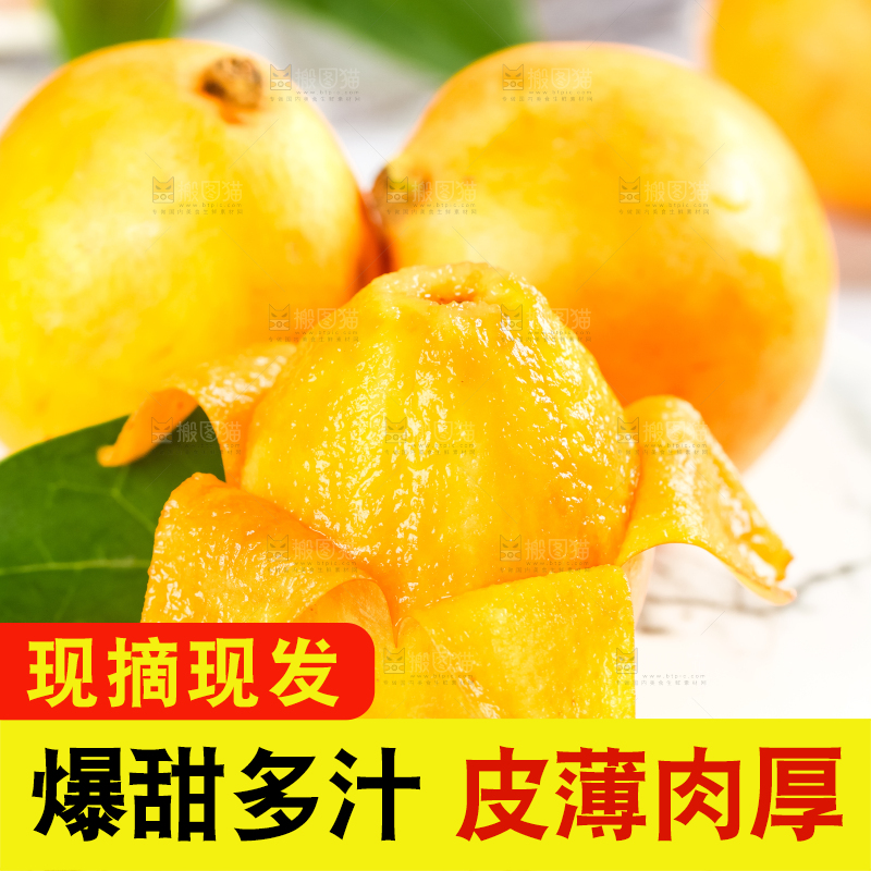 枇杷