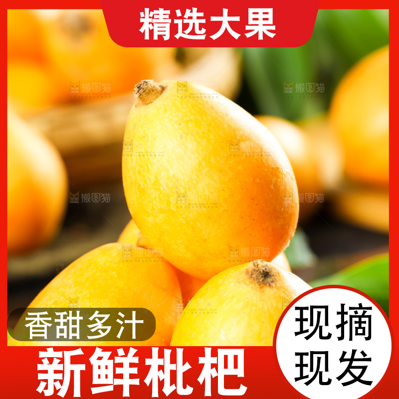 枇杷