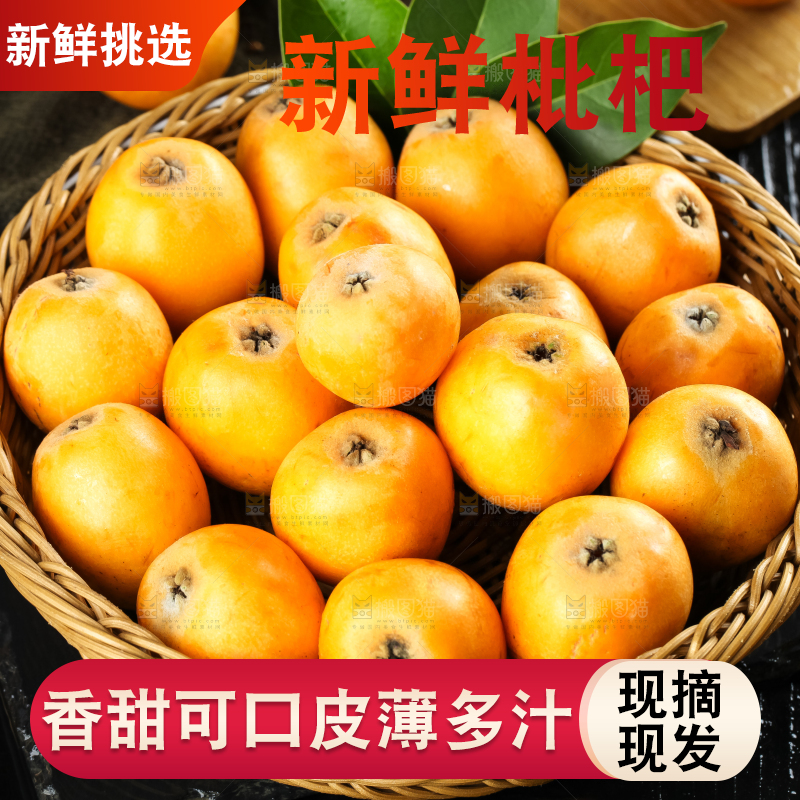 枇杷