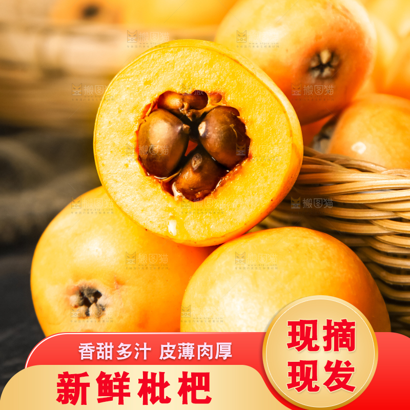枇杷
