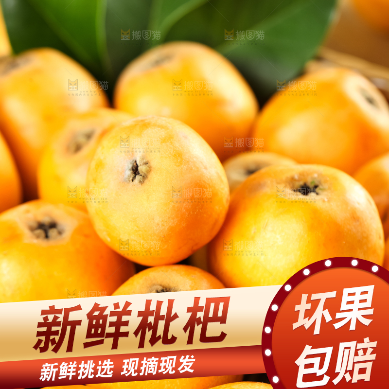 枇杷