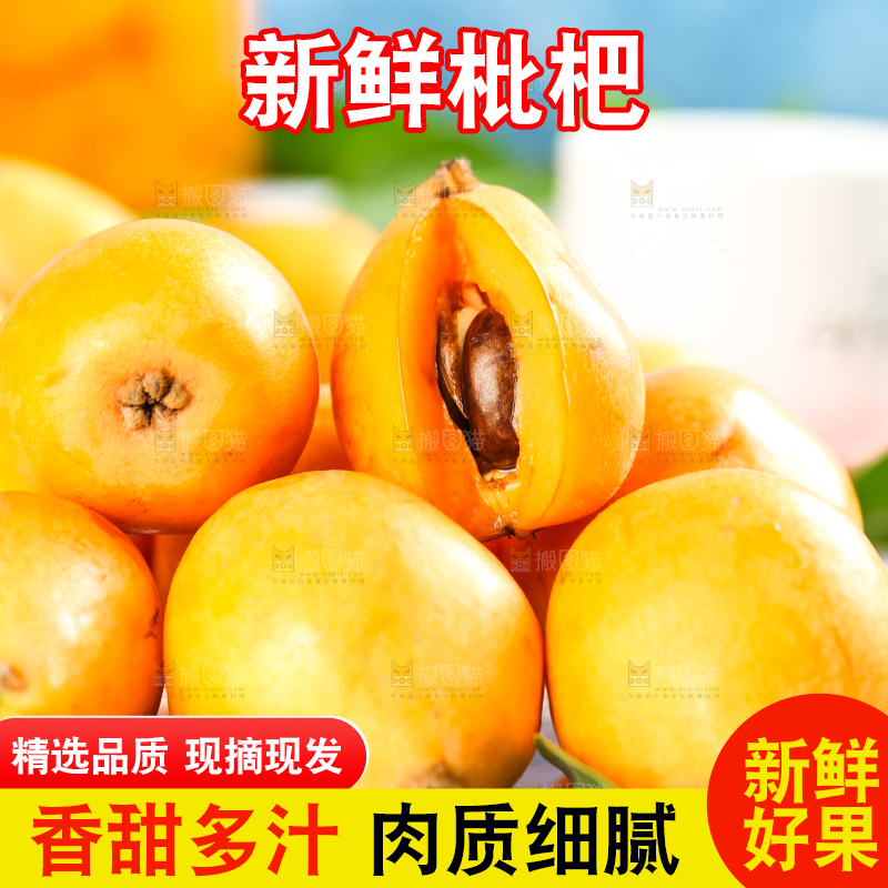 枇杷