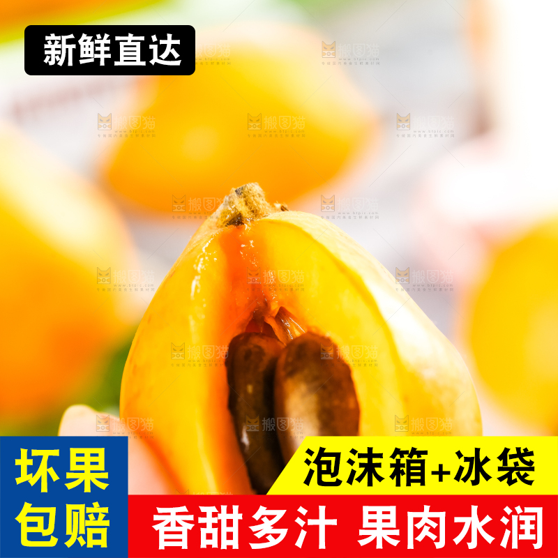 枇杷