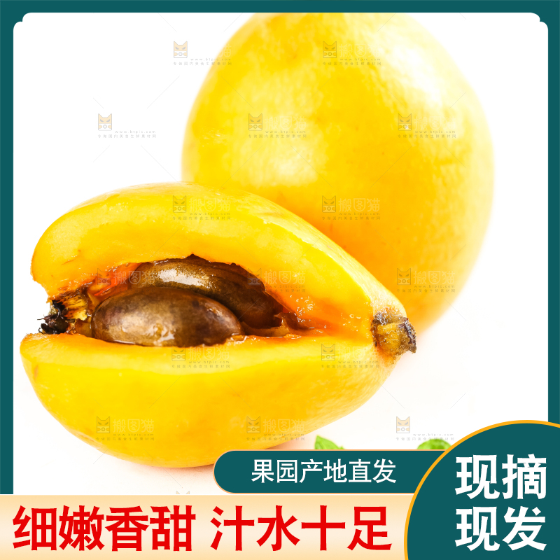 枇杷