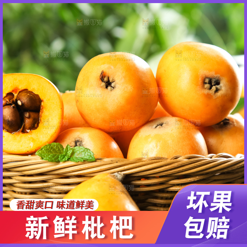 枇杷