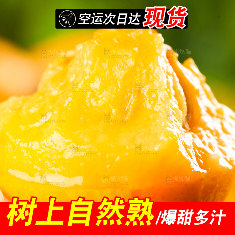 枇杷